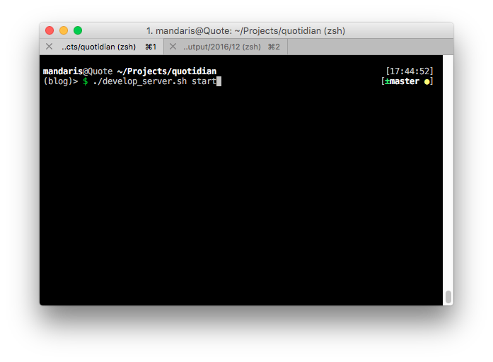 An iTerm window with the commands that I use to run the development server