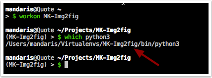 Check that it is _not_ using the systems version of python.